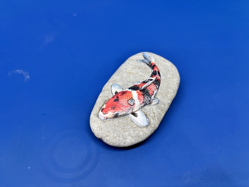 Koi fish UV printed onto a smooth river stone with raised texture
